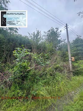 ������� ������ | Imot.bg � ����� ������ 3