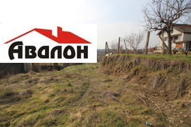 ����� ������� ������,���� ����, ��������