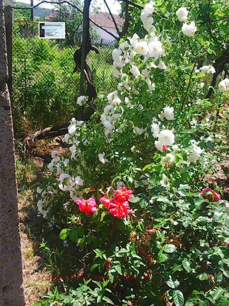 Til salg  Hus region Montana , Stalijska mahala , 100 kvm | 54427929 - billede [7]