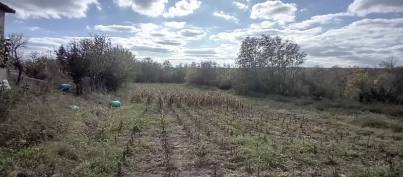 Til salg  Hus region Dobrich , Lomnitsa , 120 kvm | 82600257
