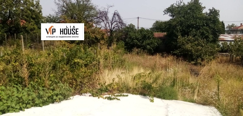 Продава ПАРЦЕЛ, с. Симеоновец, област Пазарджик, снимка 3 - Парцели - 52622281