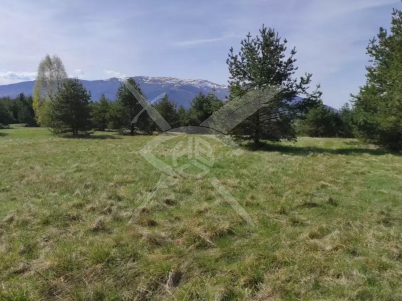 Satılık  Komplo Sofia , Plana , 1500 metrekare | 66902825