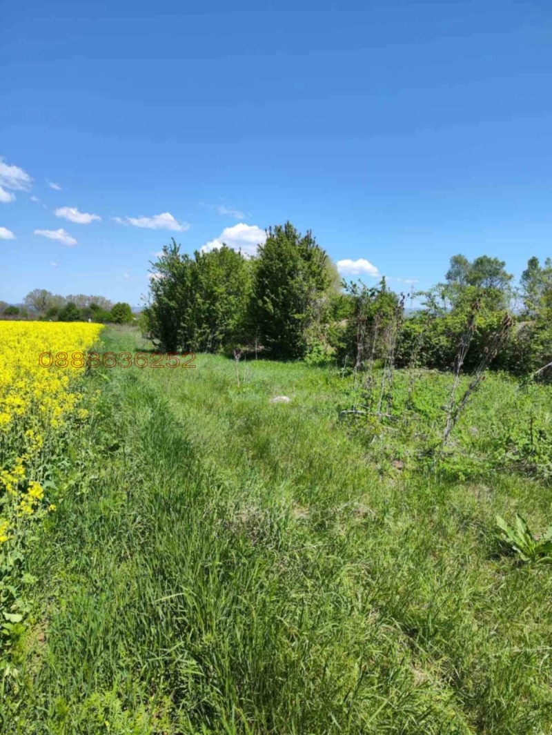 Продава ПАРЦЕЛ, гр. София, Бенковски, снимка 3 - Парцели - 53272443