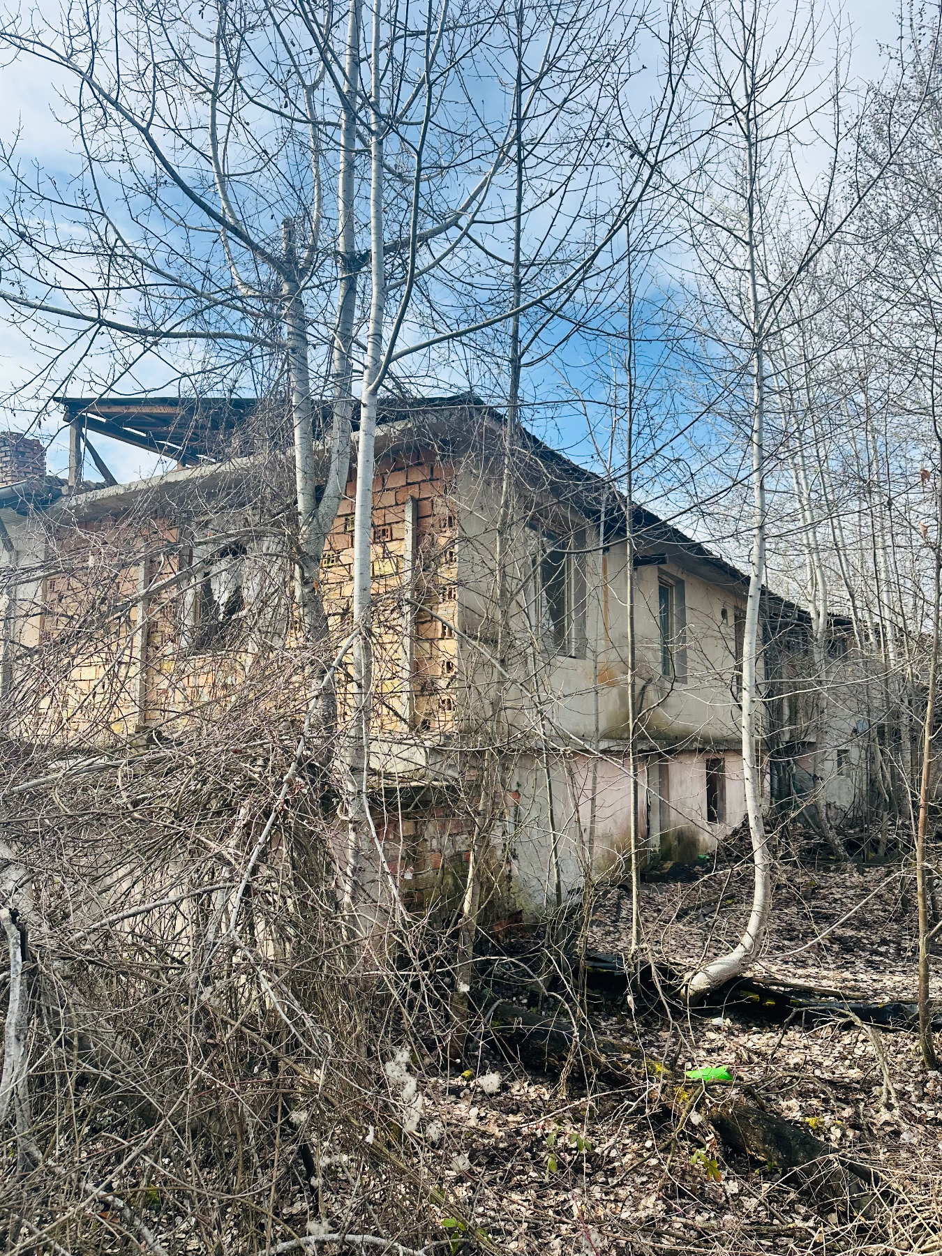 Продава БИЗНЕС ИМОТ, с. Геша, област Габрово, снимка 7 - Други - 53678434