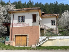 ����� ������� ����,�. ���������, ������ ������