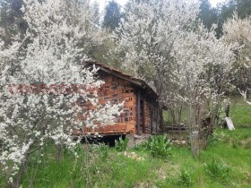 ������� ���� | Imot.bg � ����� ������ 15