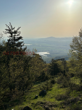 ����� ������� ������,���� �������, ������ �������