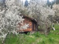 Продава КЪЩА, с. Филиповци, област Перник, снимка 15