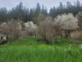 Продава  Къща област Перник , с. Филиповци , 75 кв.м | 23302908 - изображение [17]