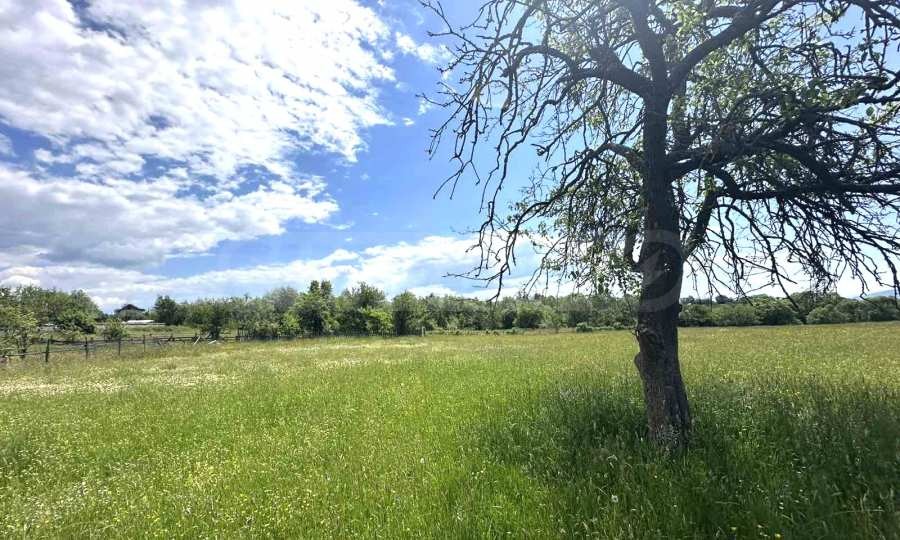 Продава ПАРЦЕЛ | Imot.bg — изображение 7