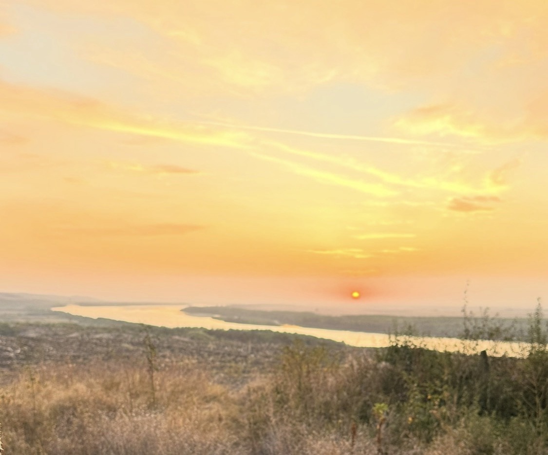 ������� ������ | Imot.bg � ����������� 5