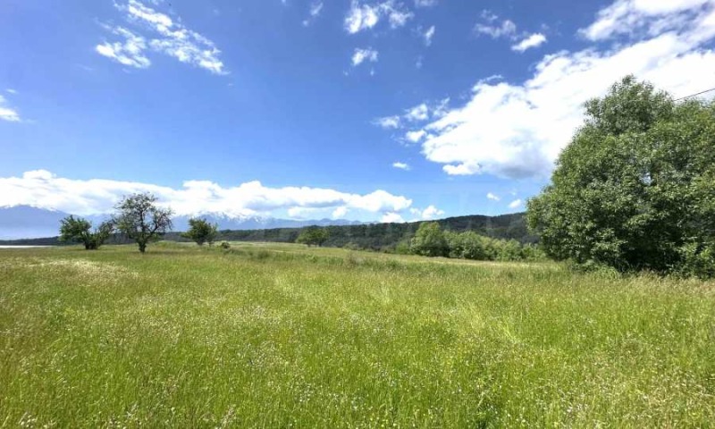 For Sale  Plot region Blagoevgrad , Dobarsko , 2760 sq.m | 77492658 - image [11]