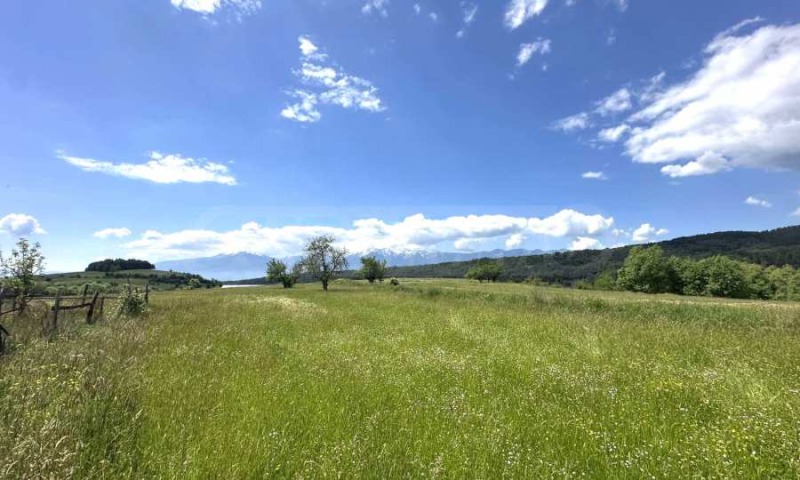 For Sale  Plot region Blagoevgrad , Dobarsko , 2760 sq.m | 77492658 - image [10]