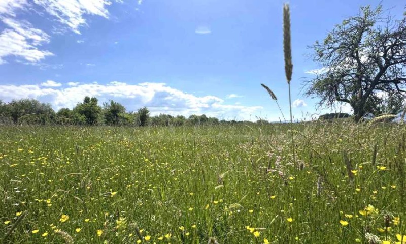 For Sale  Plot region Blagoevgrad , Dobarsko , 2760 sq.m | 77492658 - image [12]