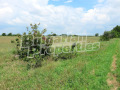 Продава ПАРЦЕЛ, област Пловдив, с. Труд • 240000 € • 66552188 — Holmes.bg