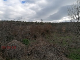 ������� ���� | Imot.bg � ����� ������ 12