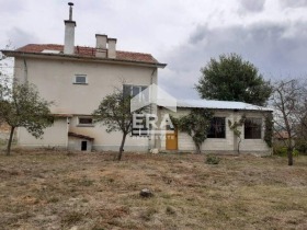 ����� ������� ����,���� �����, �������