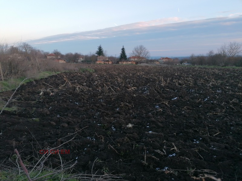 Продава КЪЩА, с. Владимирово, област Добрич, снимка 10 - Къщи - 52577437