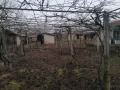 Продава КЪЩА, с. Владимирово, област Добрич, снимка 9