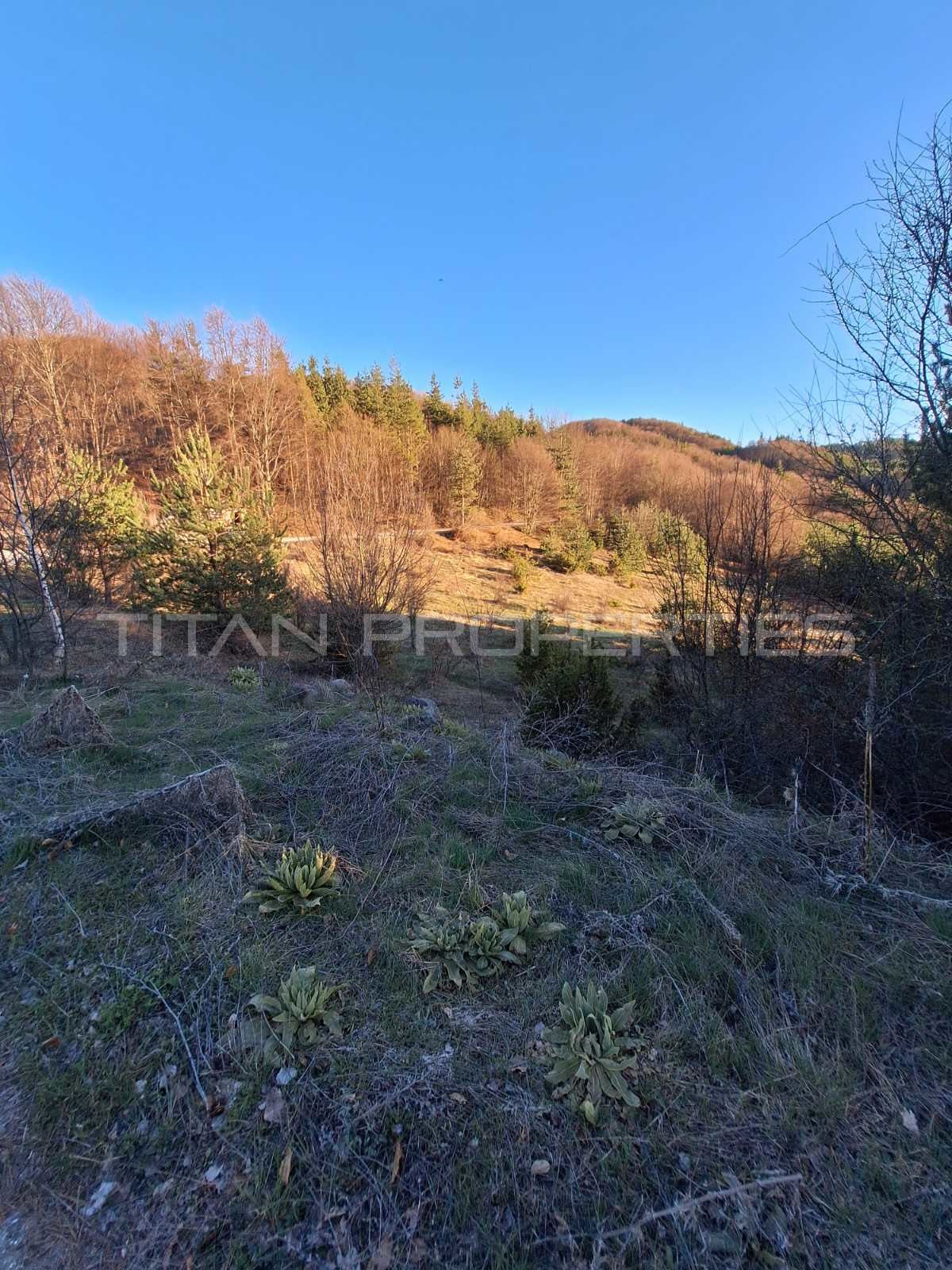 Продава ПАРЦЕЛ | Imot.bg — изображение 4