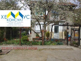 ����� ������� ����,��. �����, ������ �����