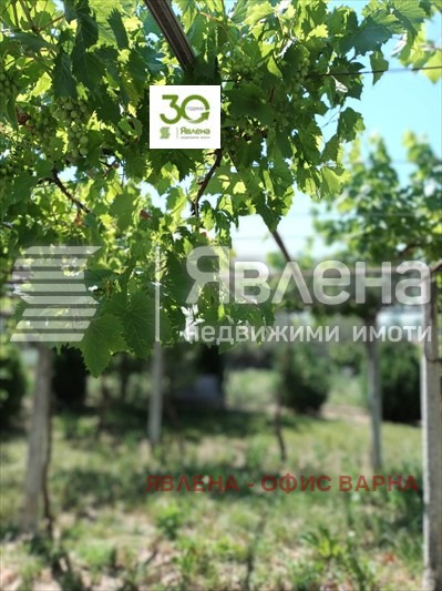 Продава КЪЩА, с. Ветрино, област Варна, снимка 7 - Къщи - 54769350