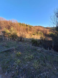 Продава ПАРЦЕЛ, с. Сини връх, област Пловдив, снимка 3