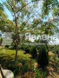 Продава  Къща област Варна , с. Ветрино , 120 кв.м | 77556677 - изображение [8]