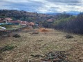 Продава ПАРЦЕЛ, област Перник, с. Дивотино • 88000 € / 172113.04 лв. • 34019019 4