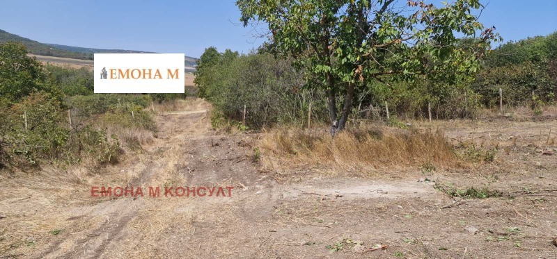 En venta  Trama región Dóbrich , Kranevo , 691 metros cuadrados | 89386524 - imagen [5]