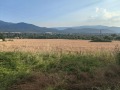 Продава ПАРЦЕЛ, с. Трудовец, област София област, снимка 2