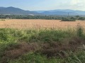 Продава ПАРЦЕЛ, област София, с. Трудовец • 110000 лв. • 58250272 — Holmes.bg