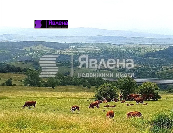 Продава КЪЩА, с. Големо Бучино, област Перник, снимка 7 - Къщи - 48817208