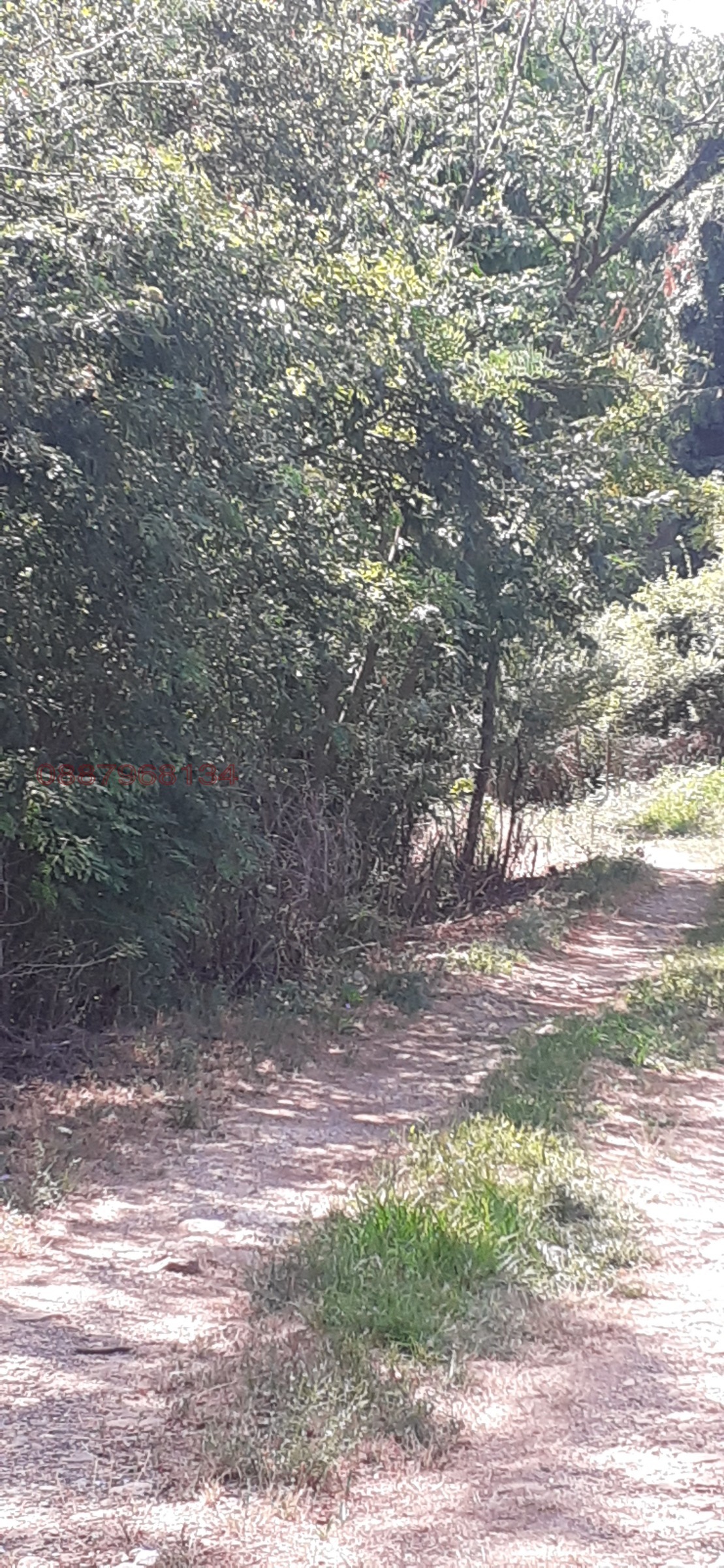 Продава ПАРЦЕЛ, гр. Ботевград, област София област, снимка 2 - Парцели - 54004709