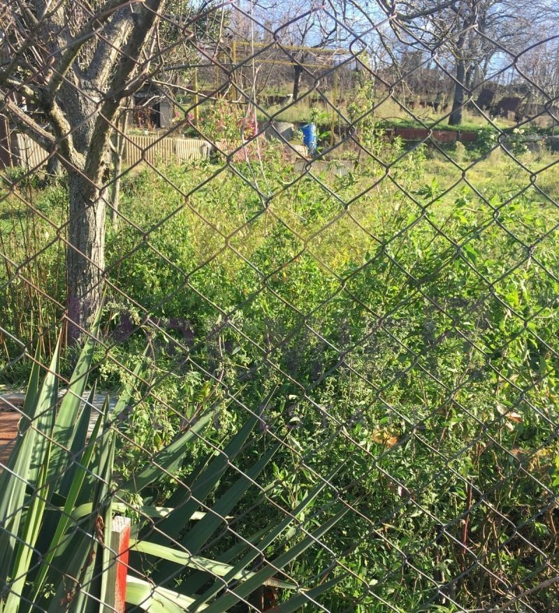 Продава ПАРЦЕЛ, гр. Варна, м-т Боровец - север, снимка 4 - Парцели - 53150990