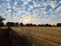 Продава ЗЕМЕДЕЛСКА ЗЕМЯ, с. Змеево, област Добрич, снимка 10