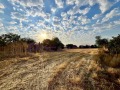 Продава ЗЕМЕДЕЛСКА ЗЕМЯ, с. Змеево, област Добрич, снимка 8