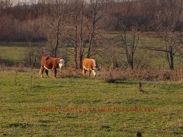 ������� ������ | Imot.bg � ����������� 14