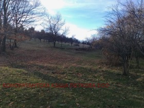 ������� ������ | Imot.bg � ����� ������ 5