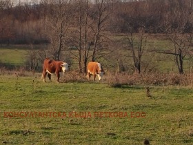 ������� ������ | Imot.bg � ����� ������ 14