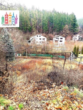 ������� ������ | Imot.bg � ����� ������ 8