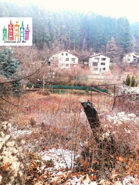 ����� ������� ������,�. �������, ������ ������