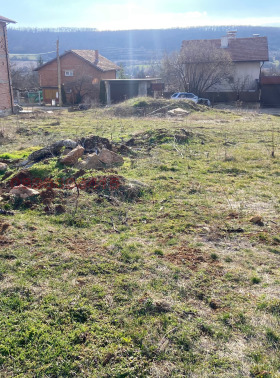 ����� ������� ������,�. ���������, ������ �����