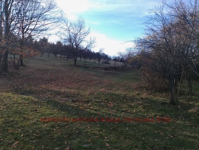 Продава ПАРЦЕЛ, с. Голяма Желязна, област Ловеч, снимка 4 - Парцели - 51937033