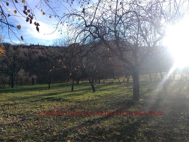 Продава ПАРЦЕЛ, с. Голяма Желязна, област Ловеч, снимка 2 - Парцели - 51937033