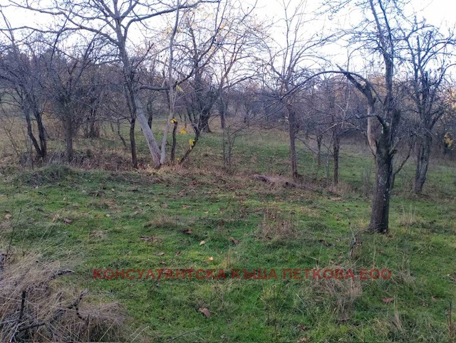 Продава ПАРЦЕЛ, с. Голяма Желязна, област Ловеч, снимка 6 - Парцели - 51937033