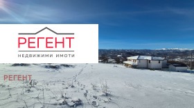 ����� ������� ������,���� �������, ���������