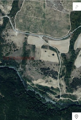 ������ ������� ������