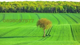 ����� ������� ���������� ����,�. ����� ������������, ������ ������