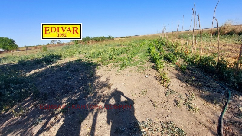 Til salgs  Hus region Dobrich , General Kolevo , 80 kvm | 61690630 - bilde [17]